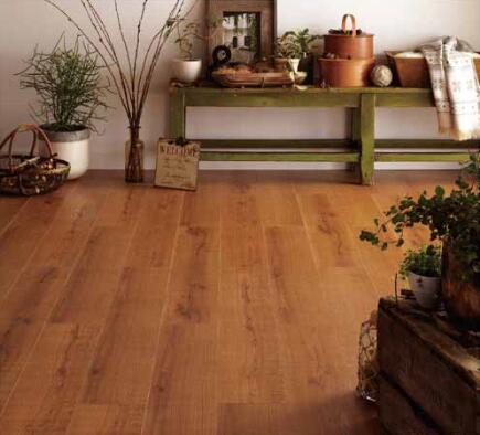 �N�b�V�����t���A�E�^�C���E�Ɩ��V�[�g